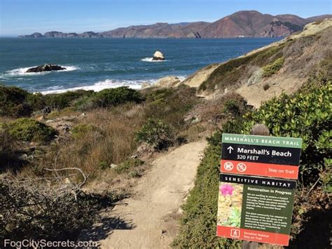 nude beach sf|Marshall's Beach .